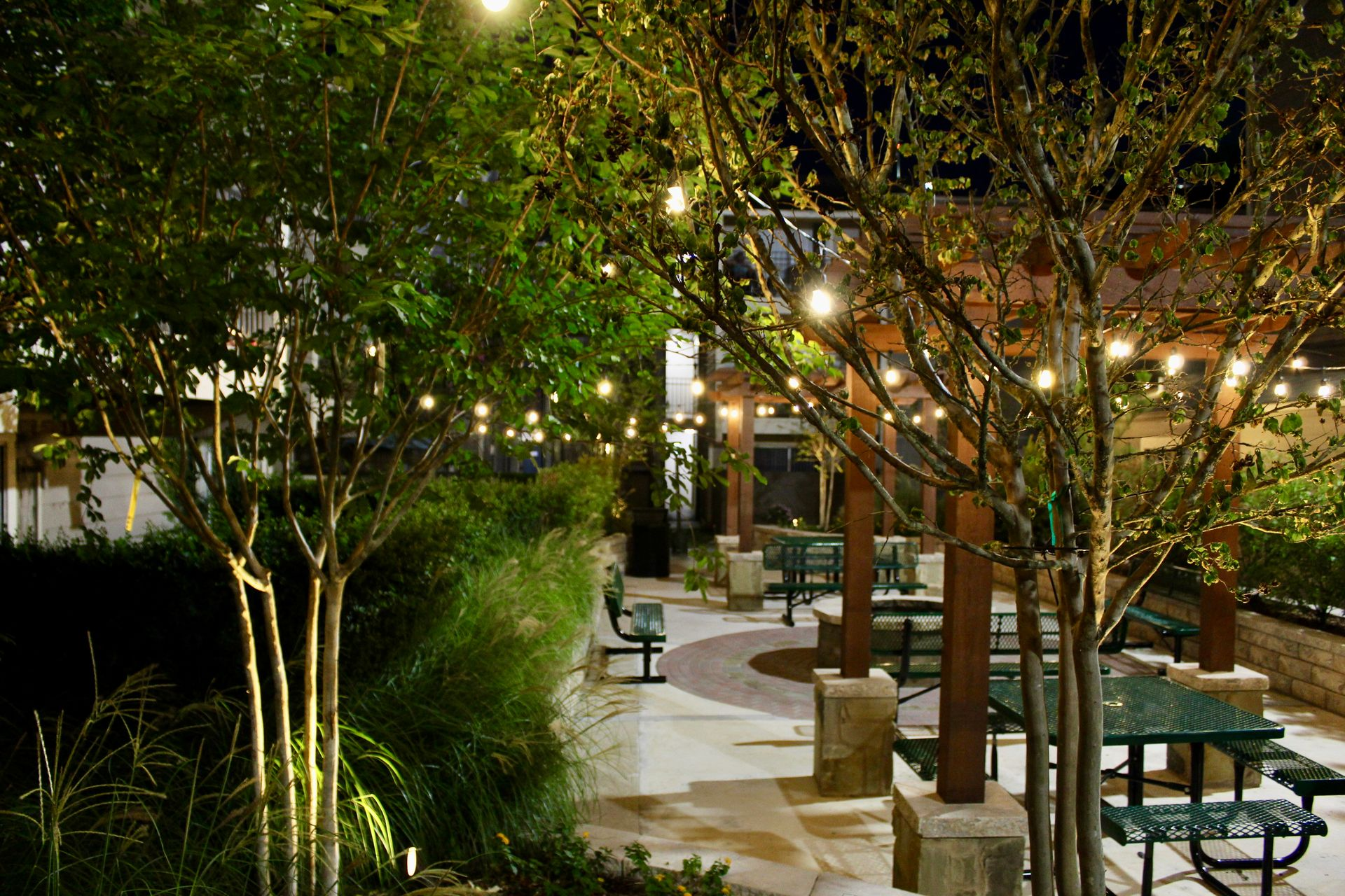 Nighttime park walkway with trees, string lights, and benches in a landscaped plaza.