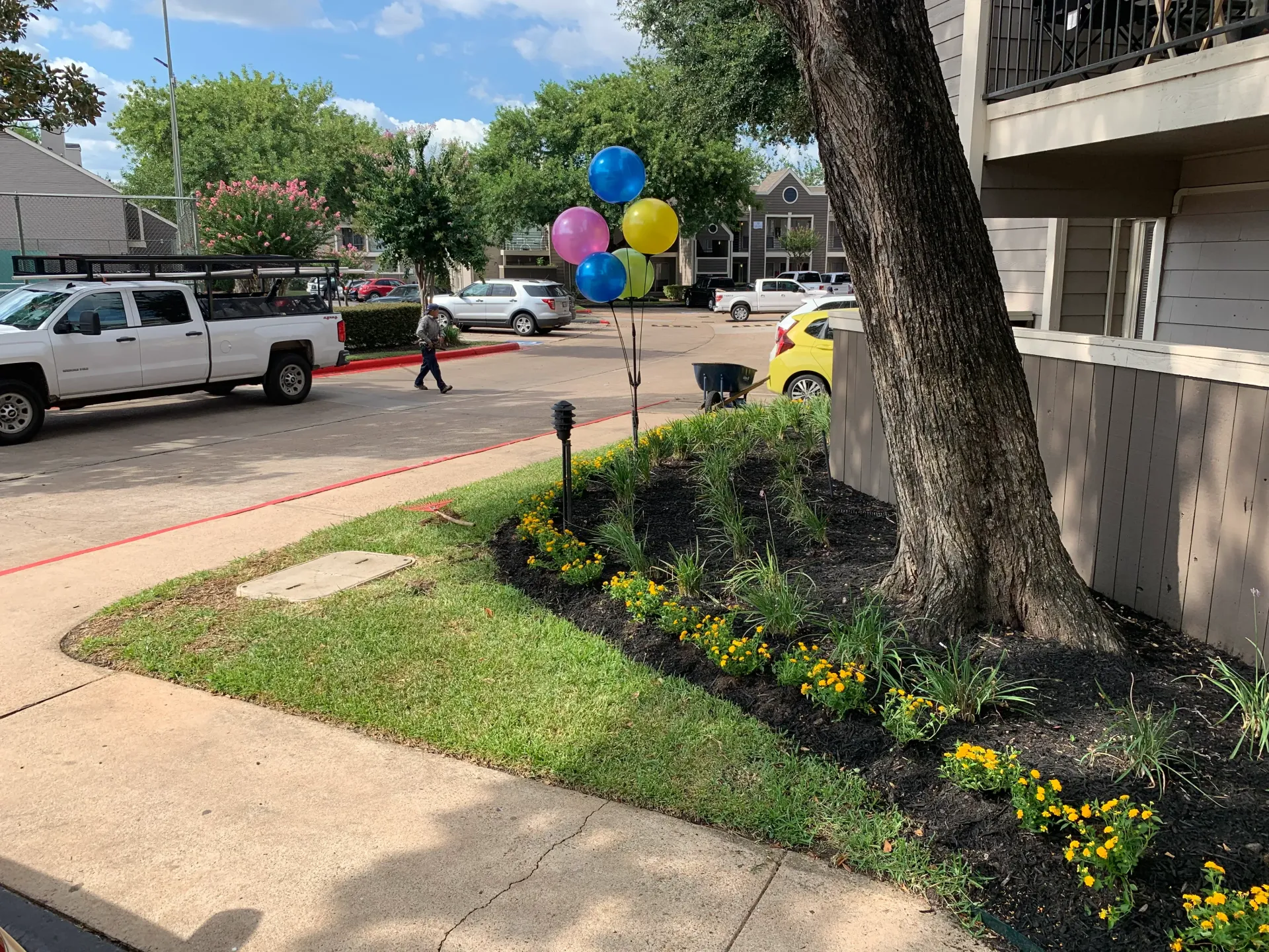 Street scene with white van, cars, and a person holding colorful balloons by a sidewalk and flower bed