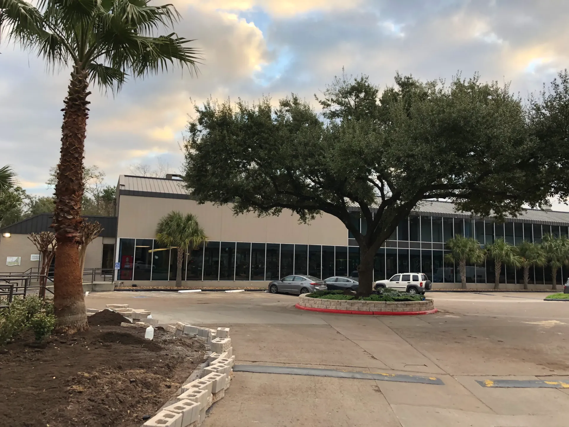 Shopping center entrance with palm trees, parked cars, and a beige building under cloudy sky