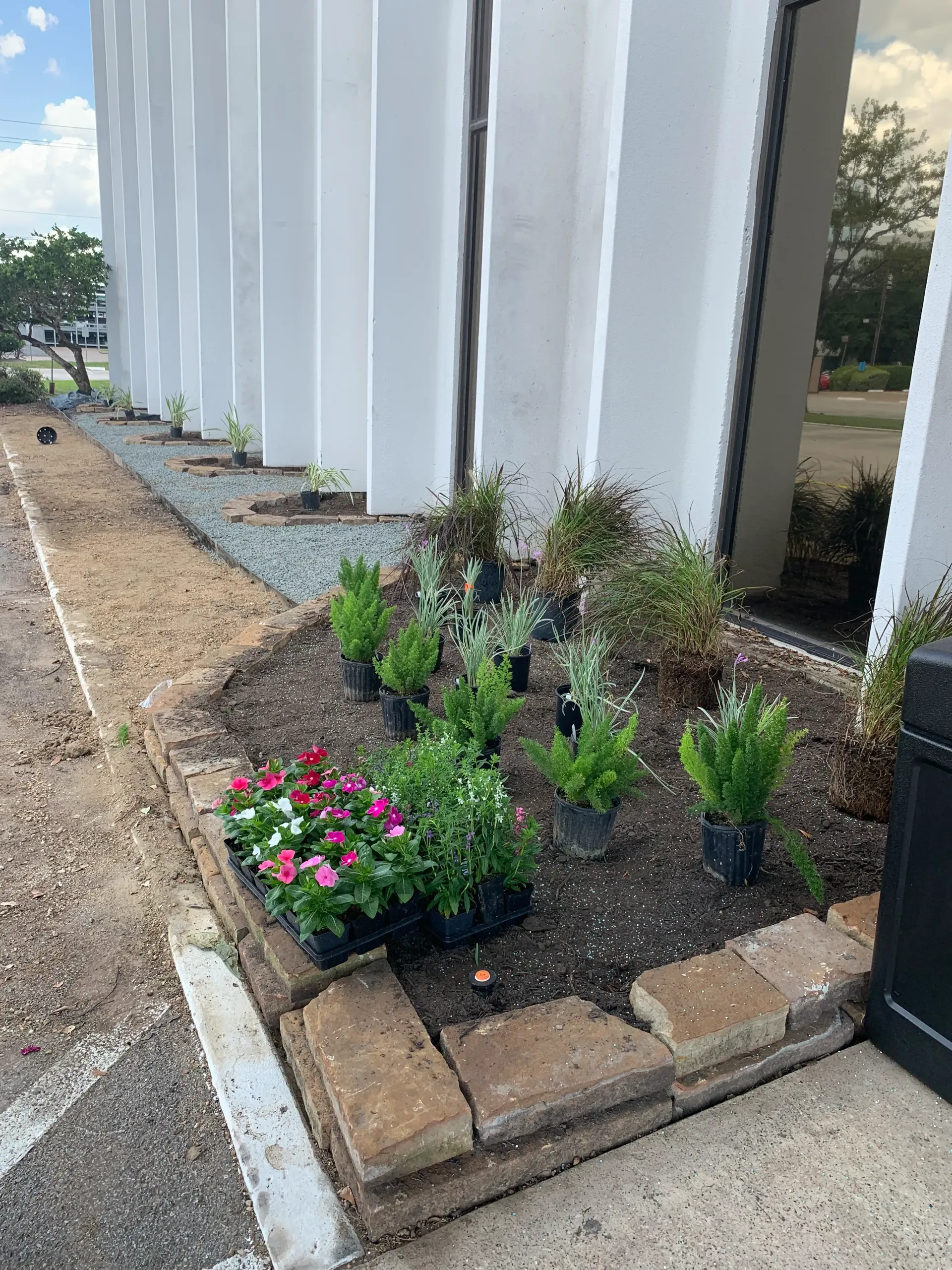 Small flower bed with pink blooms and green plants beside white building columns and a sidewalk
