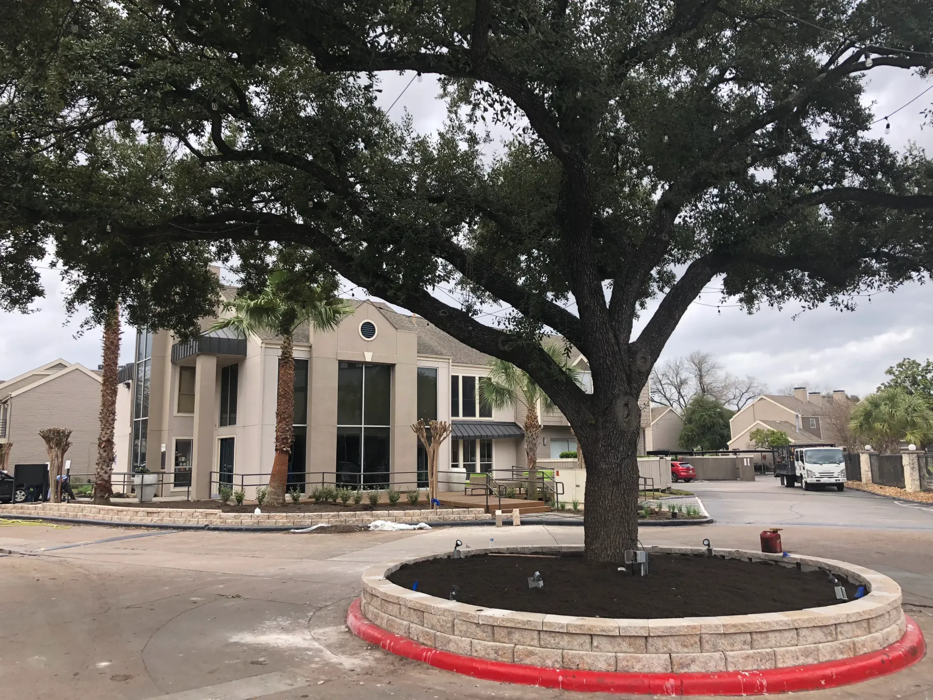 Large tree in a circular stone planter in a plaza, with a beige building and parked cars behind it.
