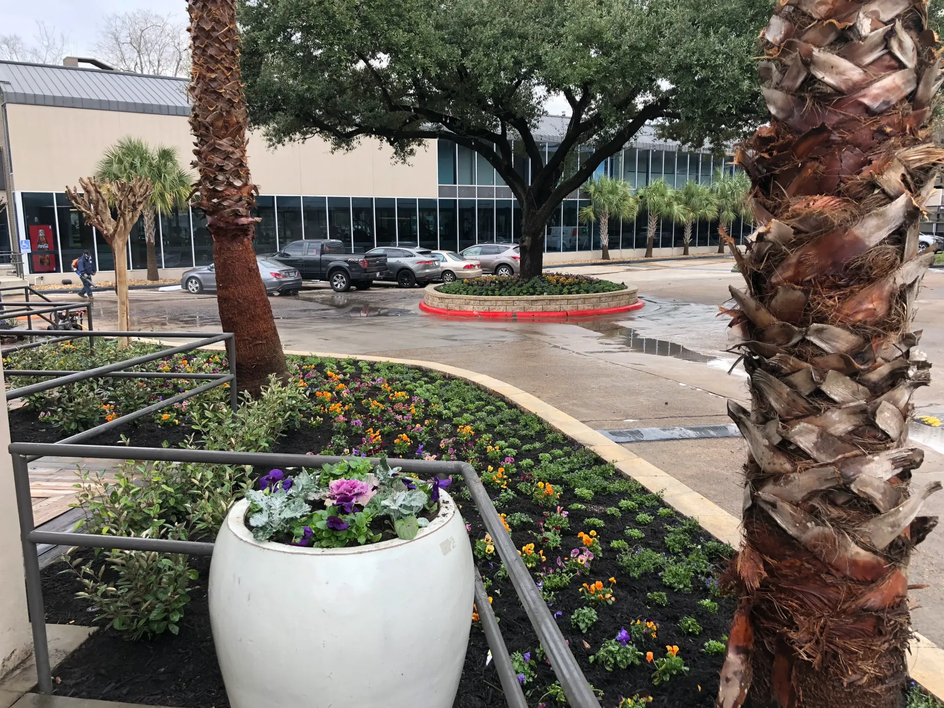 Landscaped plaza with palm trees, flower beds, and parked cars outside a building.