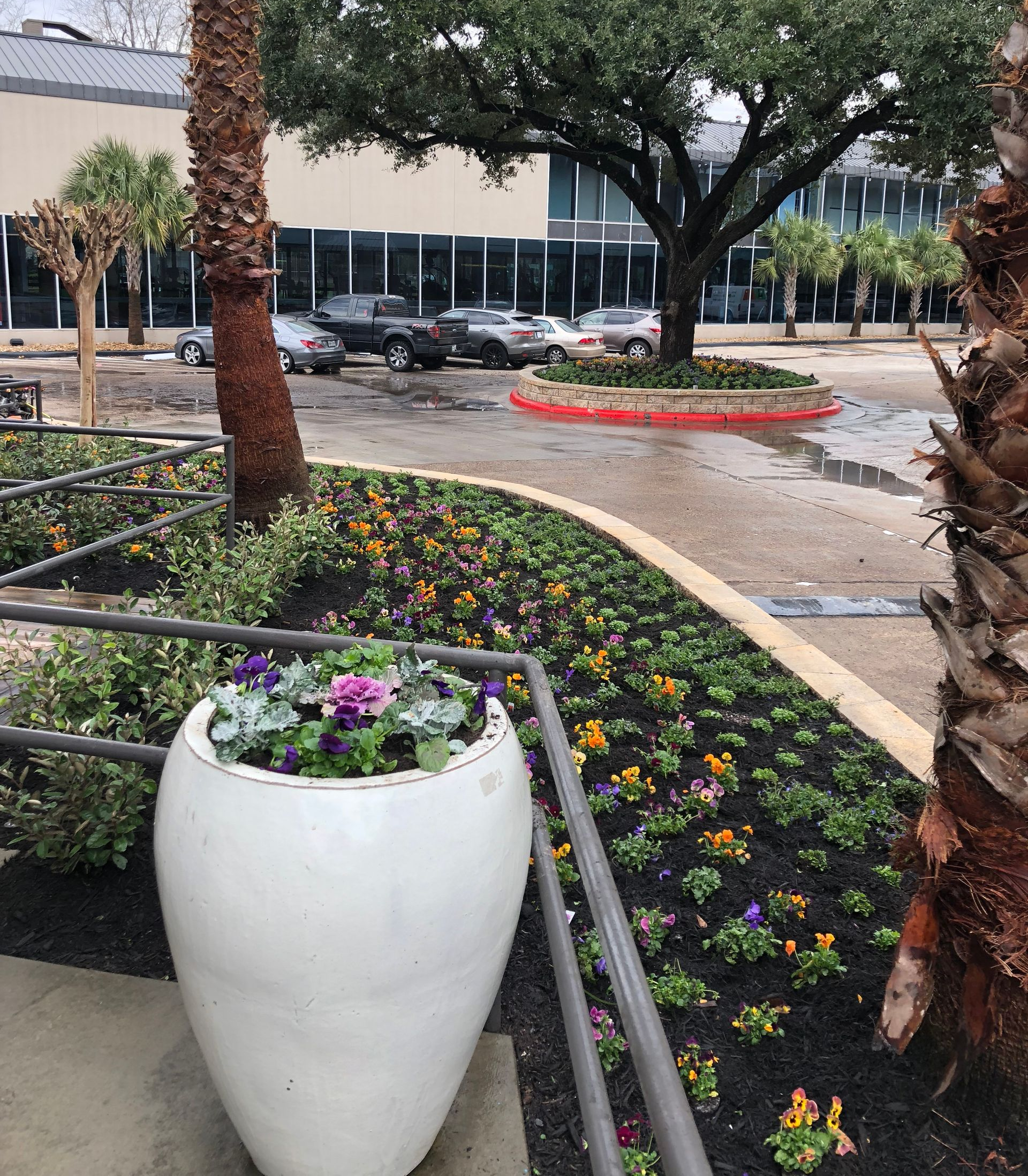 Landscaped courtyard with white planter, flowers, trees, and wet pavement near parked cars
