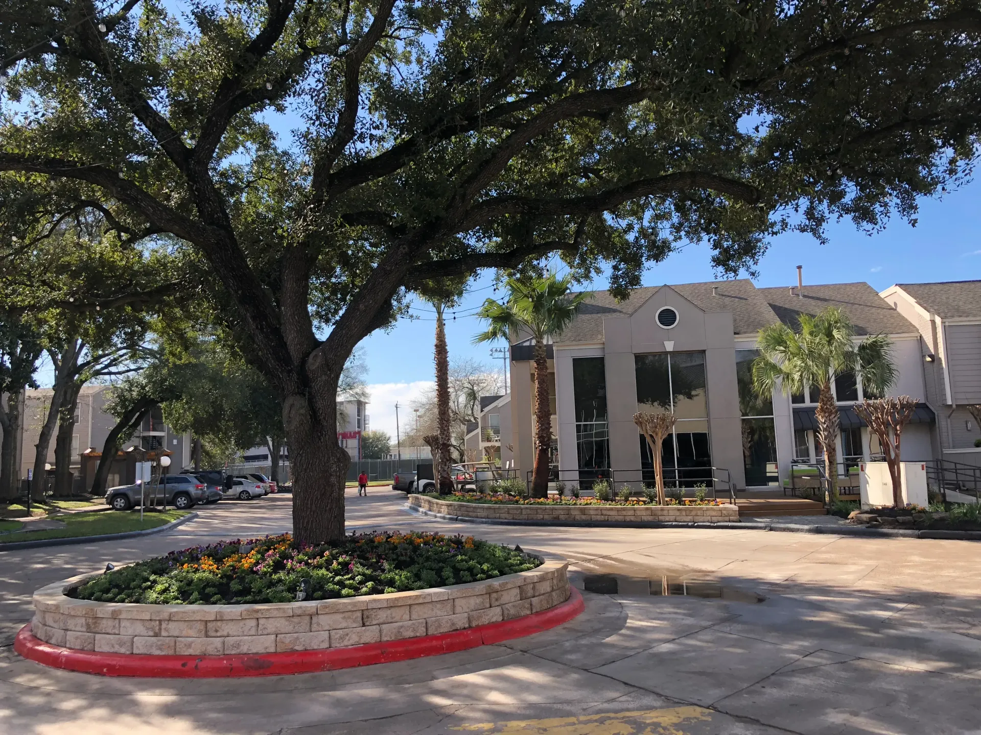 Shaded plaza with large tree, flower bed, and modern building in the background