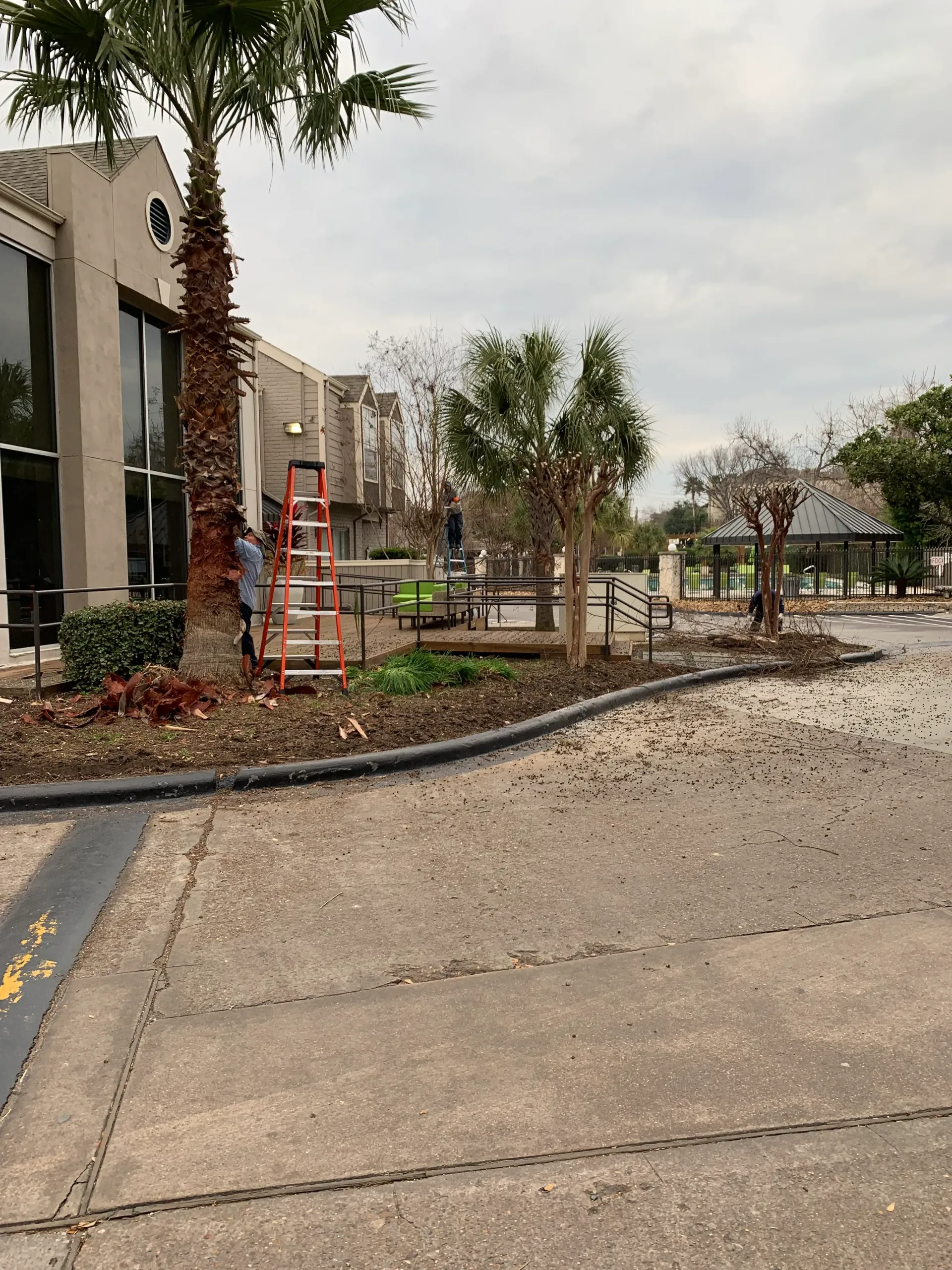 Construction site with red ladders, palm trees, and a wet sidewalk beside a building