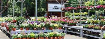 Colorful annuals, perennials, and fresh mulch installed in a Houston landscape bed