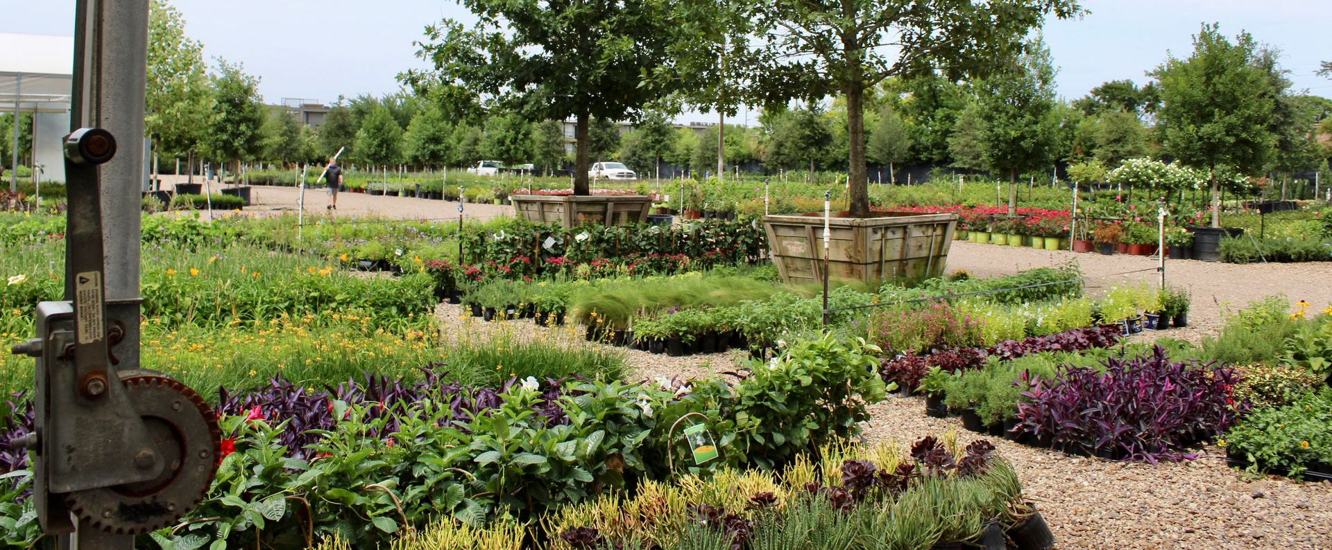 Colorful flower beds in a landscaped garden with gravel paths and wooden planters under trees