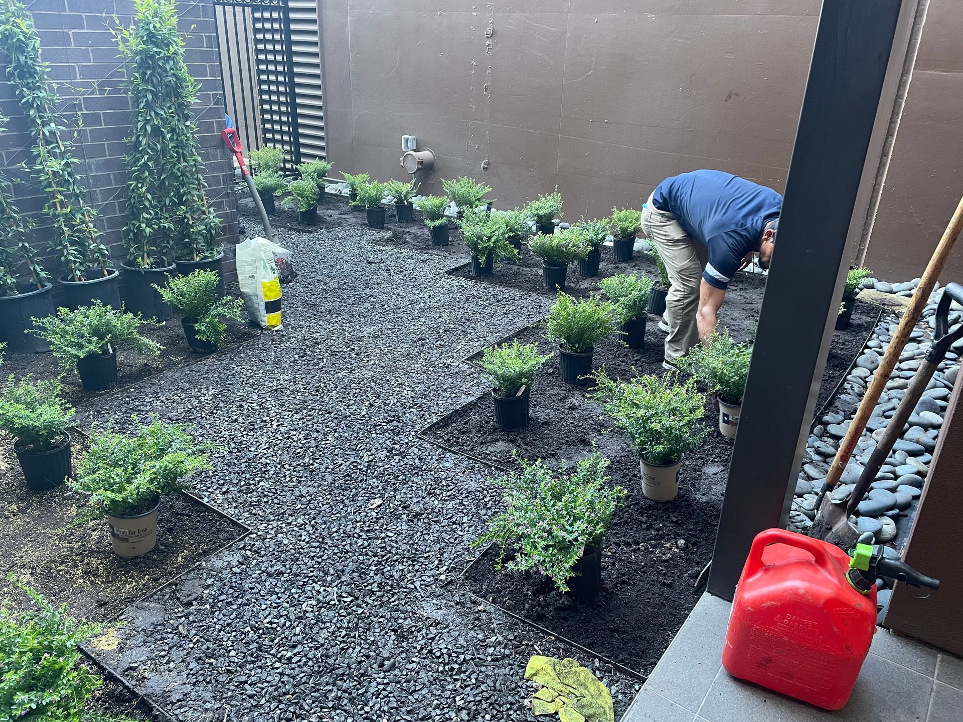 Person tending a small gravel garden with potted plants; red watering can in foreground.