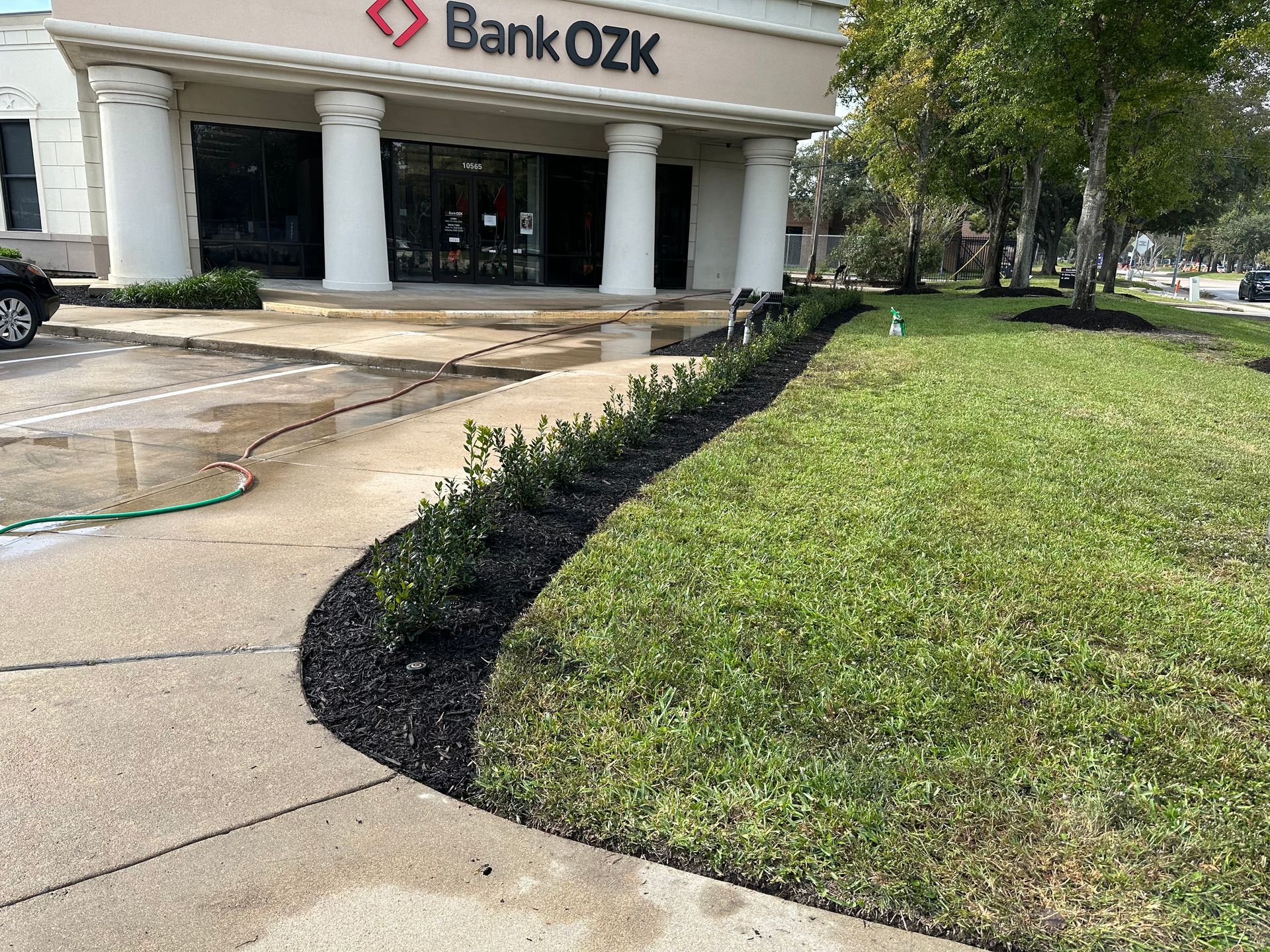 Bank OZK building with new landscaping, including black mulch and green bushes.