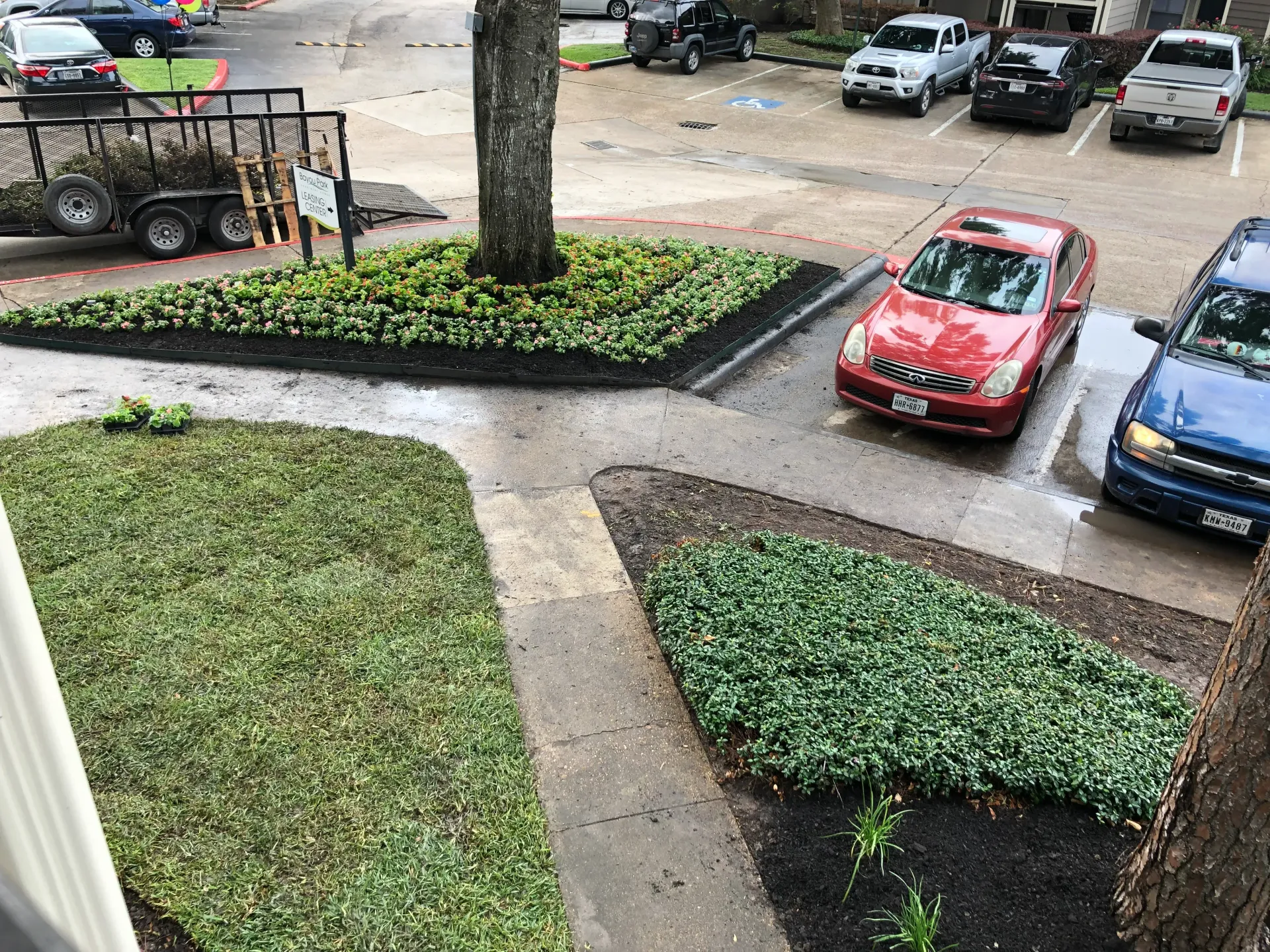 Rainy parking lot with cars beside a sidewalk and wet green landscaping.