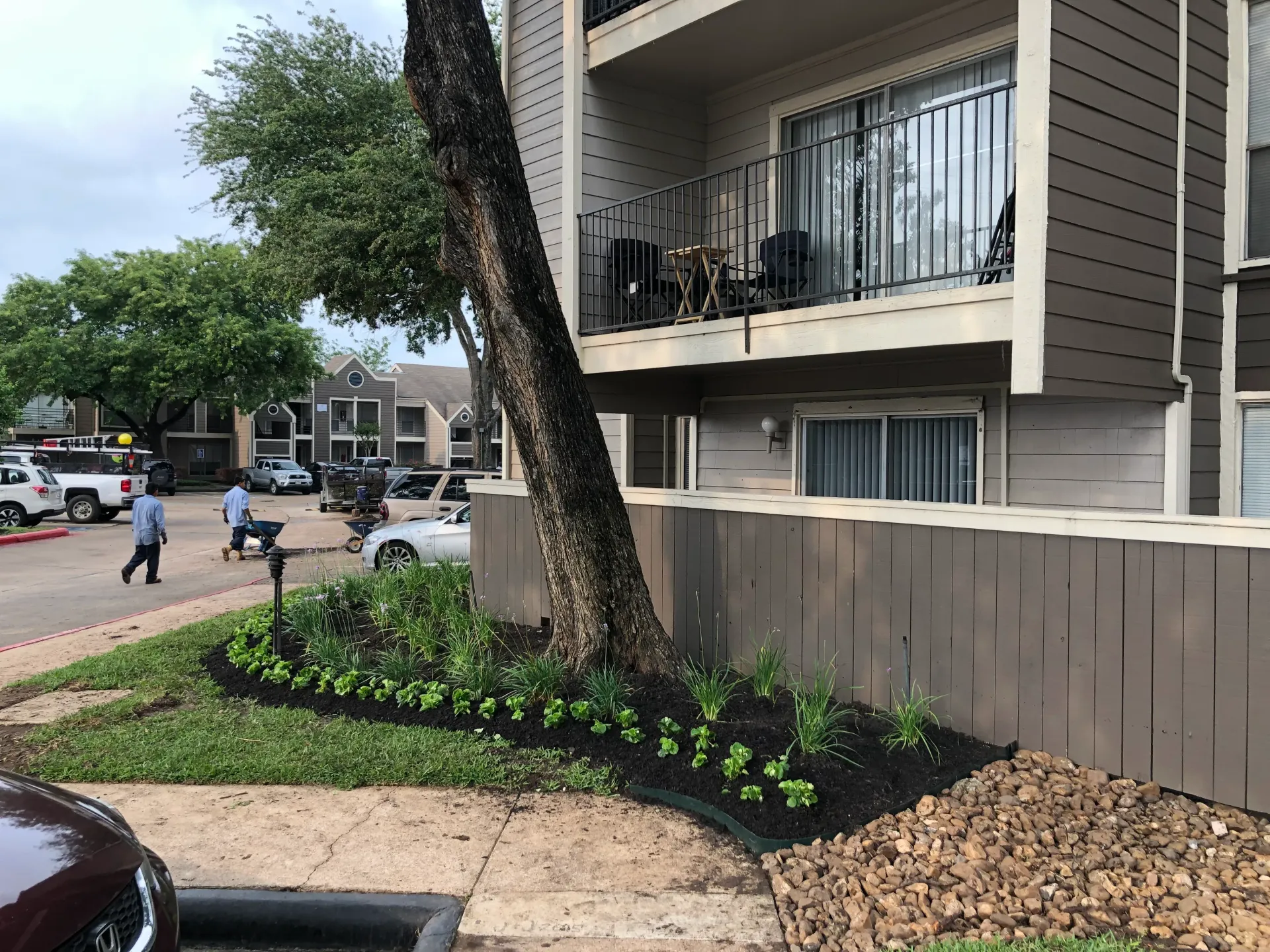 Apartment courtyard with a tree, landscaped plants, balconies, and people walking near parked cars