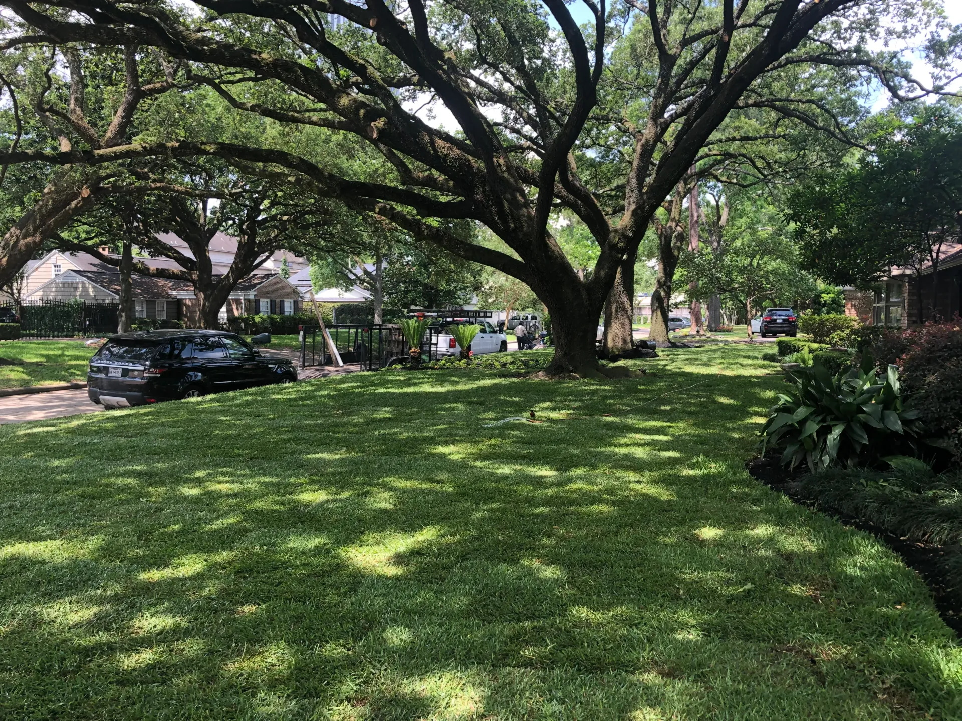 Shaded front yard with large trees, green grass, and parked cars along a residential street