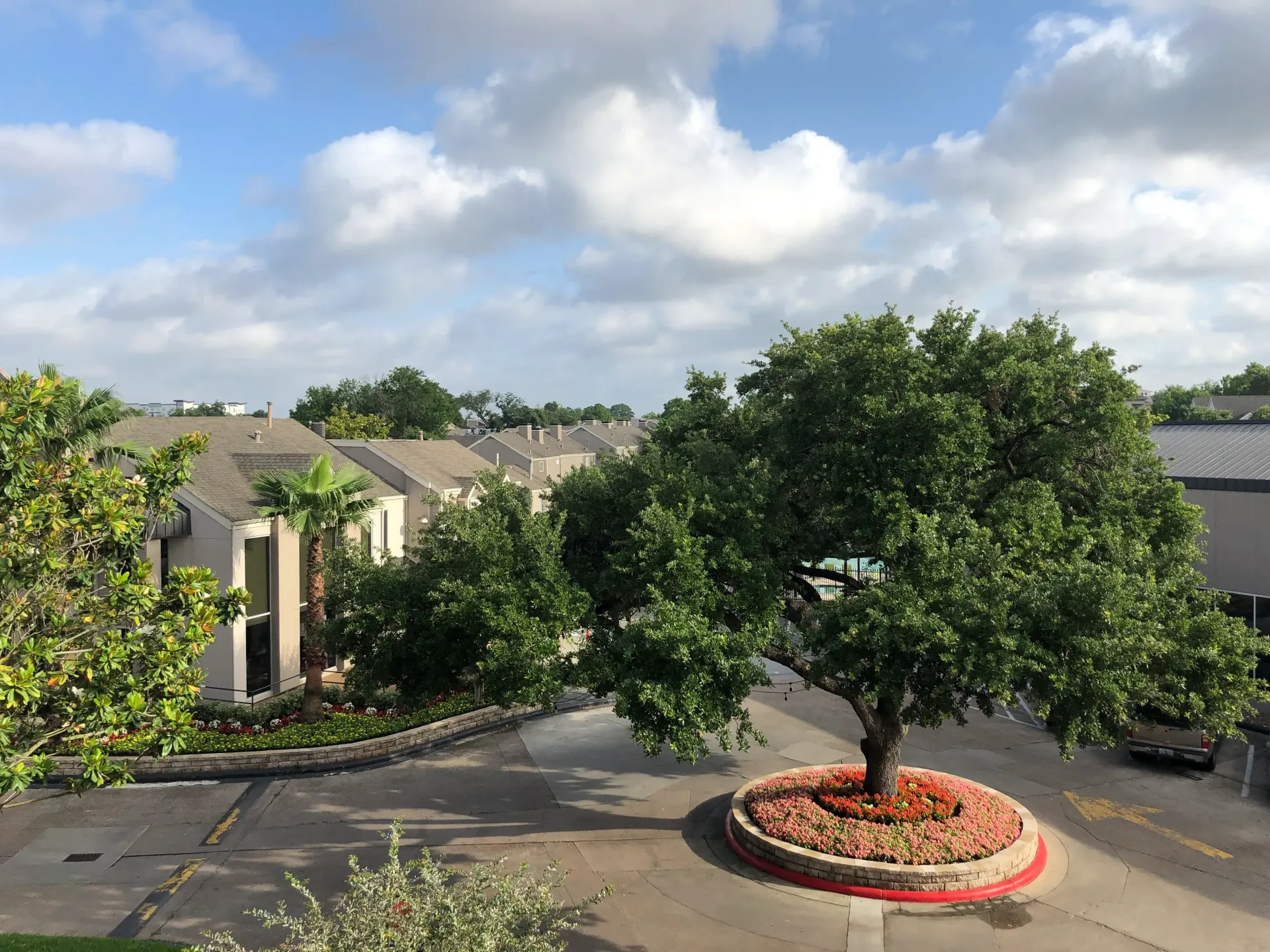 Landscaped courtyard with a central tree, circular flower bed, and surrounding apartment buildings under a blue sky