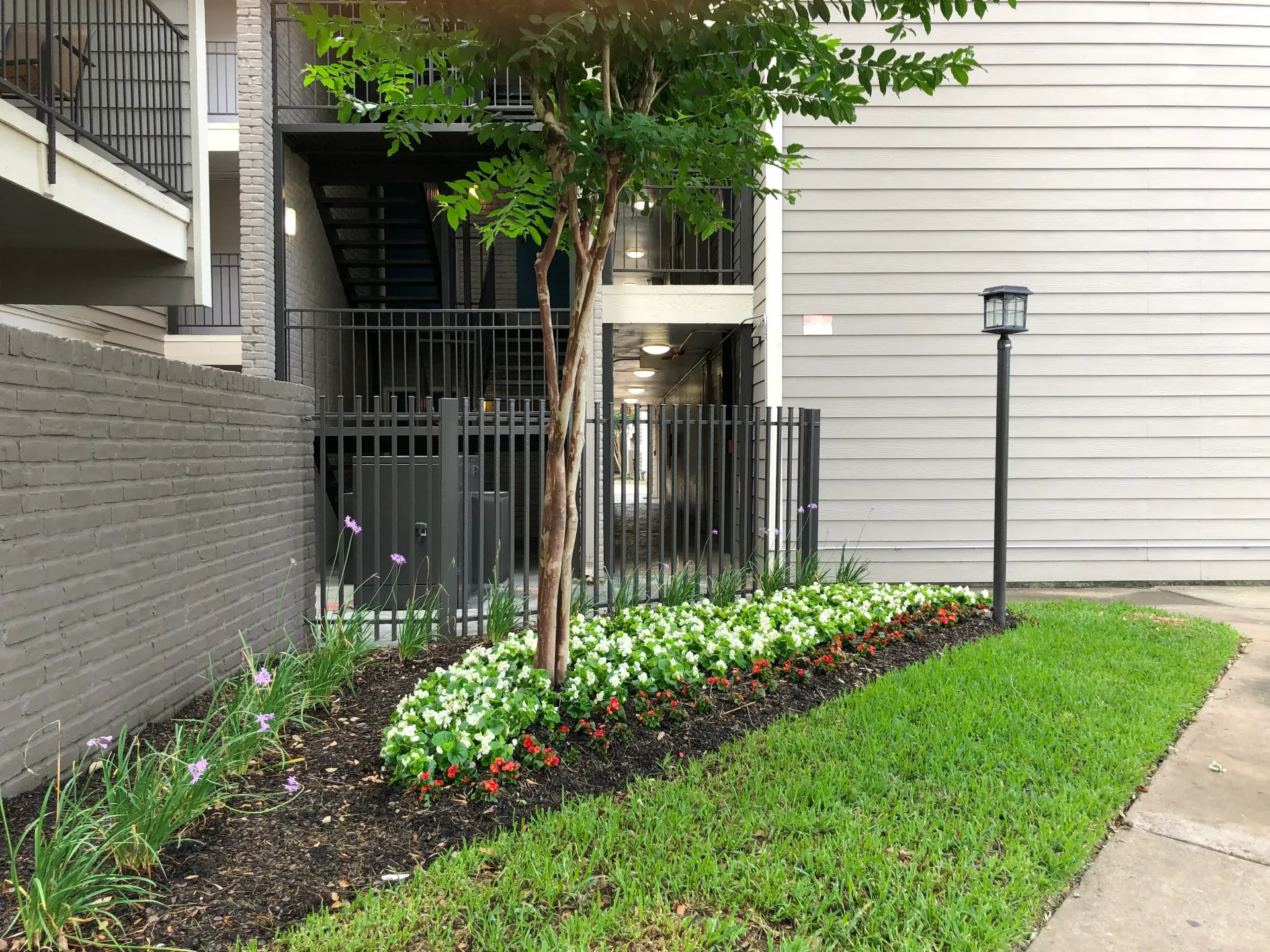 Landscaped walkway with flowers, small tree, and black metal gate beside an apartment building.