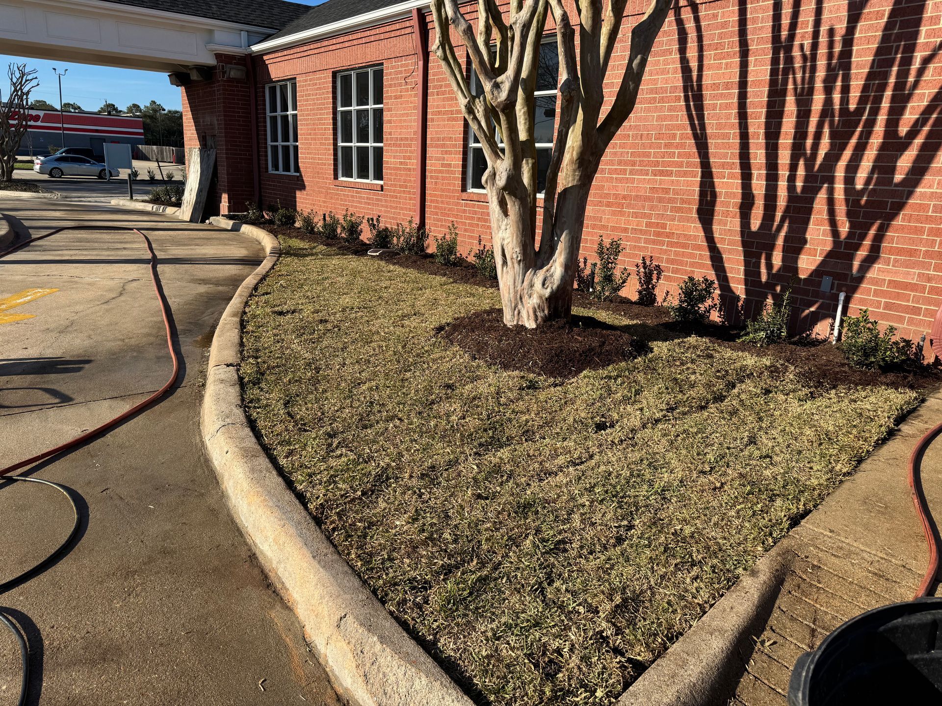 Red brick building with a landscaped bed. A tree and low shrubs are in the bed, bordered by a concrete curb.