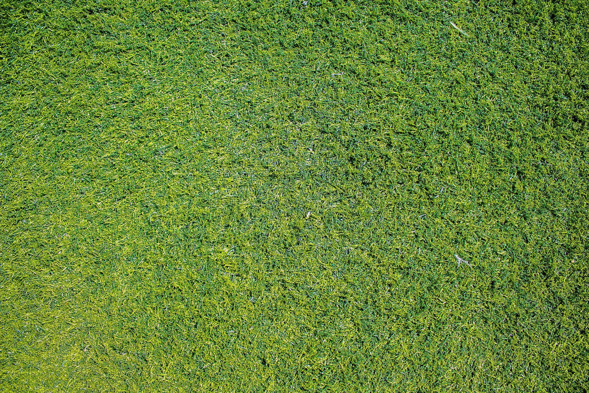 Green and yellow static noise pattern filling the frame