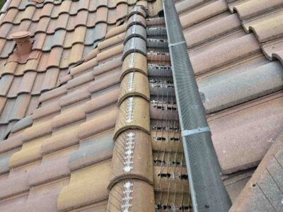 mt-diablo-window-cleaning-bird-proofing-and-critter-guard-image