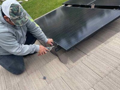 mt-diablo-window-cleaning-bird-proofing-and-critter-guard-image