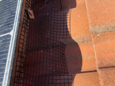 mt-diablo-window-cleaning-bird-proofing-and-critter-guard-image
