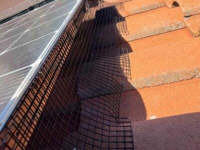 mt-diablo-window-cleaning-bird-proofing-and-critter-guard-image