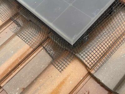 mt-diablo-window-cleaning-bird-proofing-and-critter-guard-image