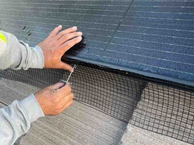 mt-diablo-window-cleaning-bird-proofing-and-critter-guard-image