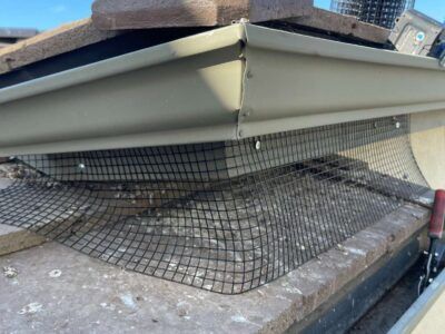 mt-diablo-window-cleaning-bird-proofing-and-critter-guard-image