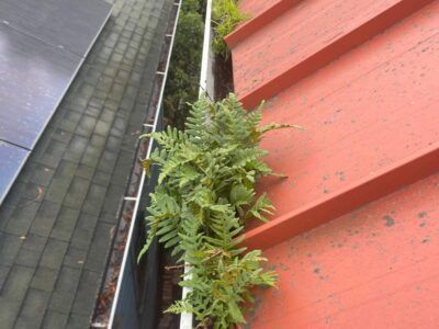 mt-diablo-window-cleaning-gutter-cleaning-image