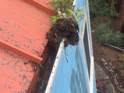 mt-diablo-window-cleaning-gutter-cleaning-image