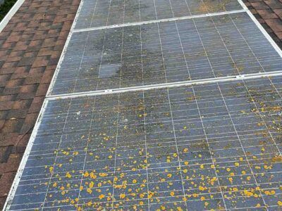 mt-diablo-window-cleaning-solar-panel-cleaning-image