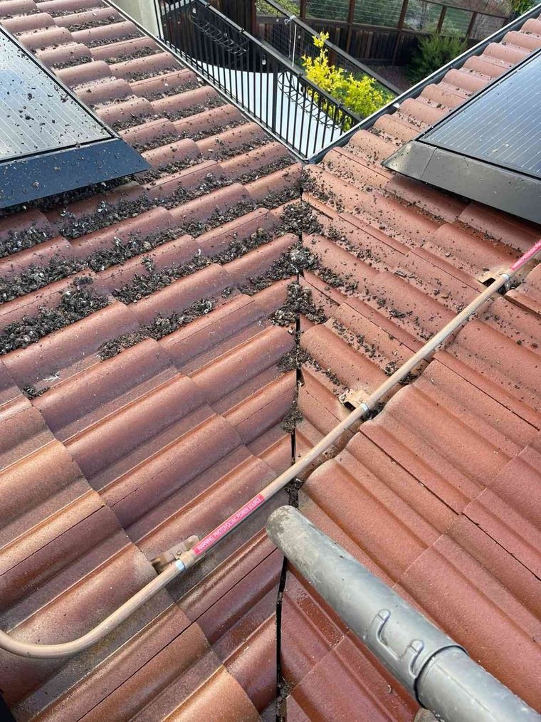 mt-diablo-window-cleaning-home-faq-image