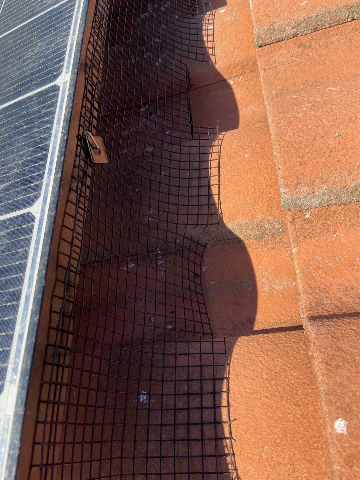 mt-diablo-window-cleaning-blog-1