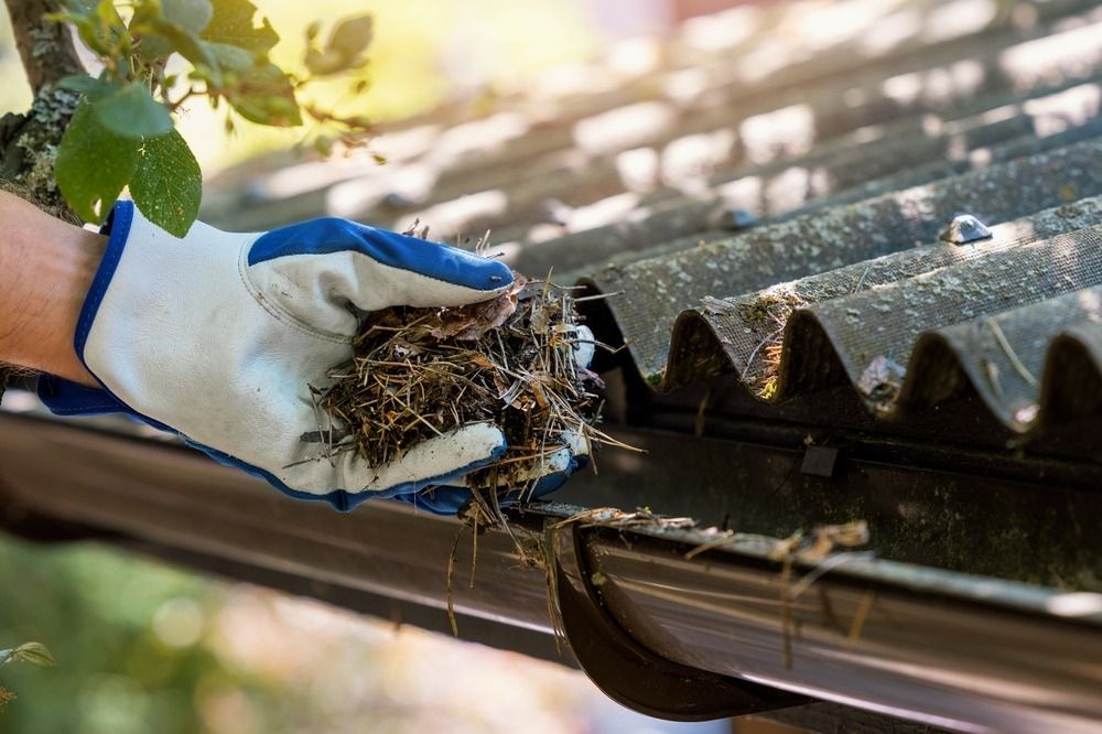 mt-diablo-window-cleaning-blog-5
