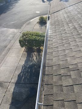Rooftop gutter and downspout beside a sidewalk, with a trimmed shrub casting a long shadow.