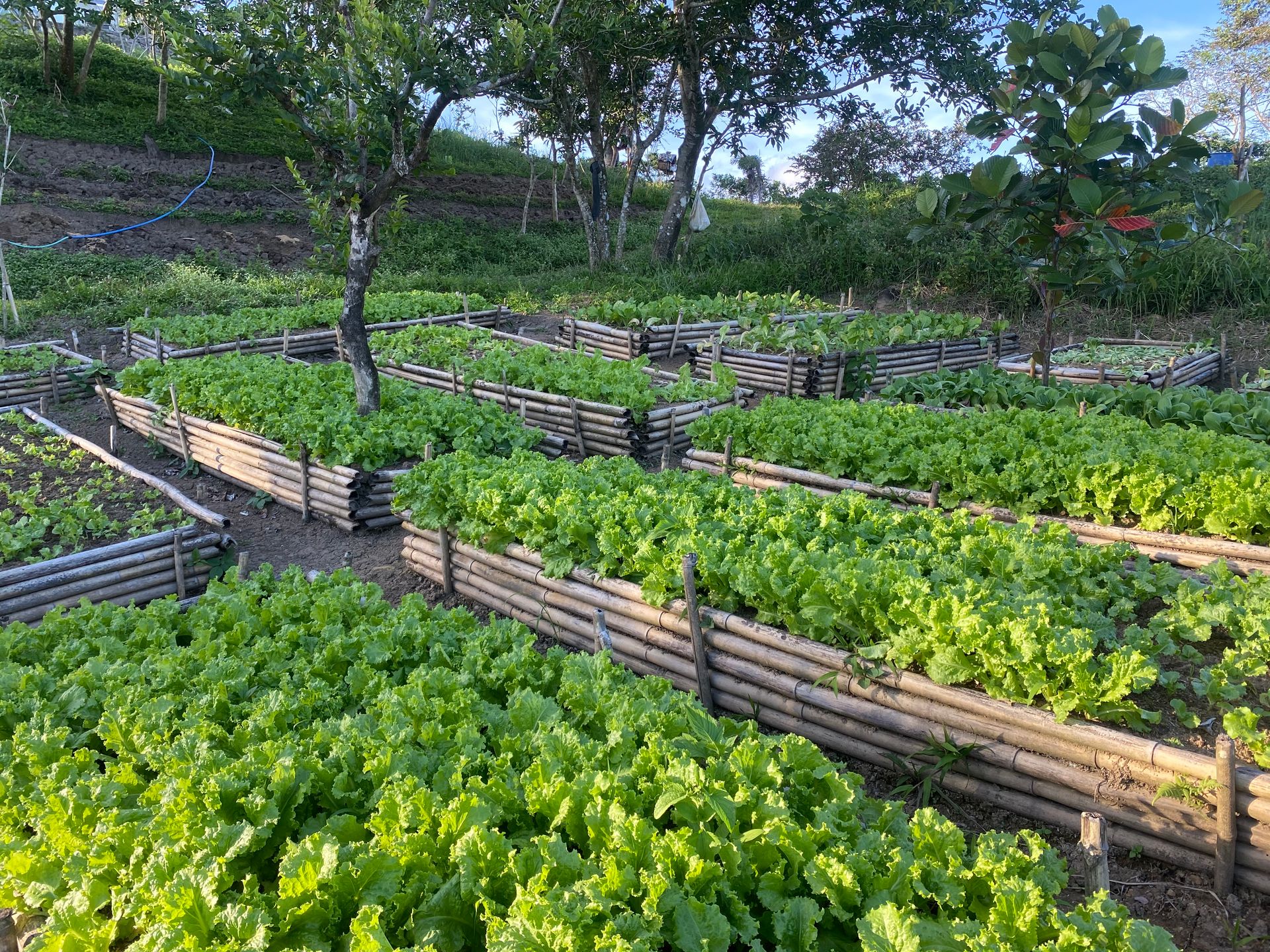 Outdoor Activities at The Apiary Mountain Camp & Farm | Tanay, Rizal