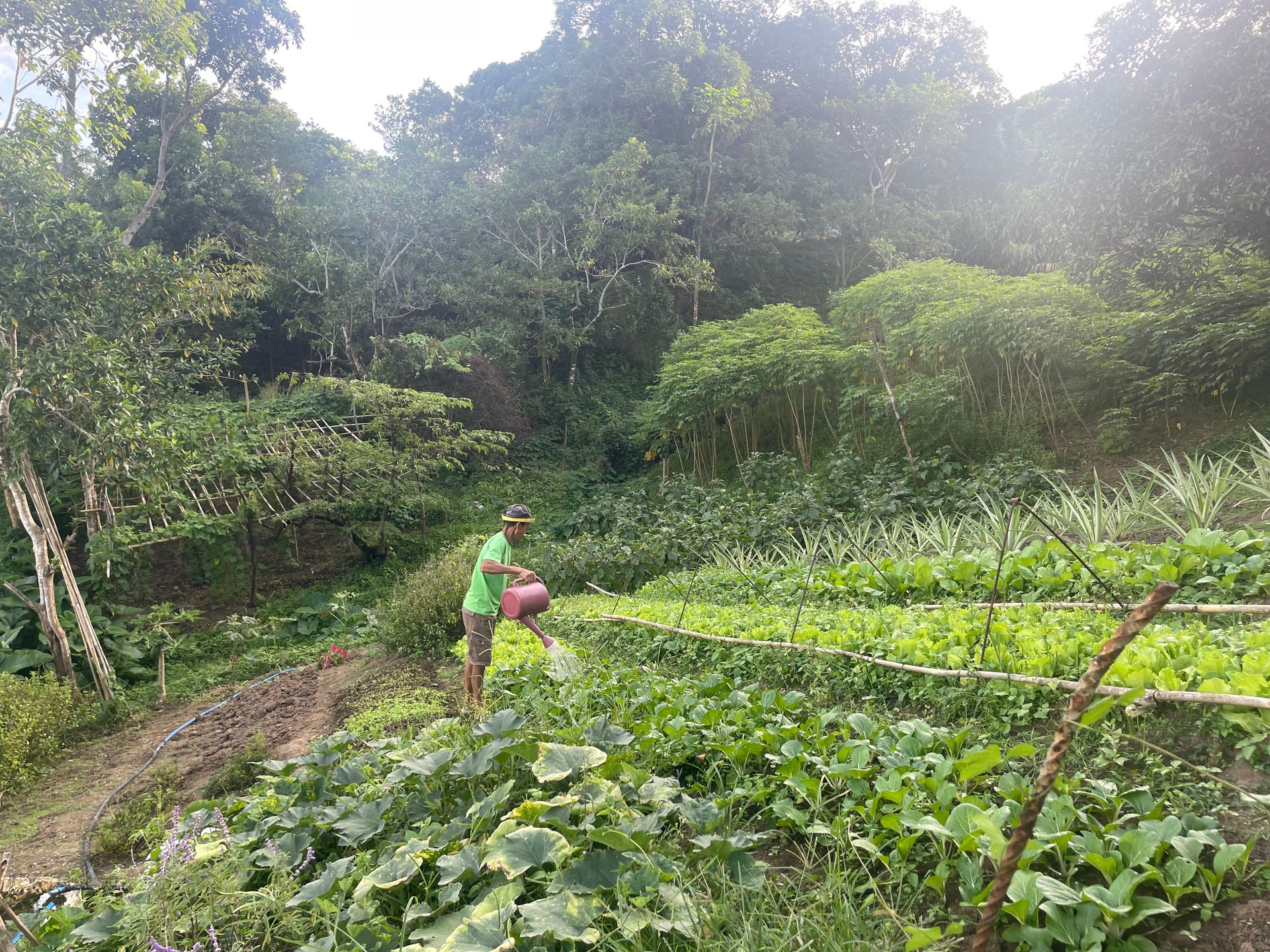 Outdoor Activities at The Apiary Mountain Camp & Farm | Tanay, Rizal