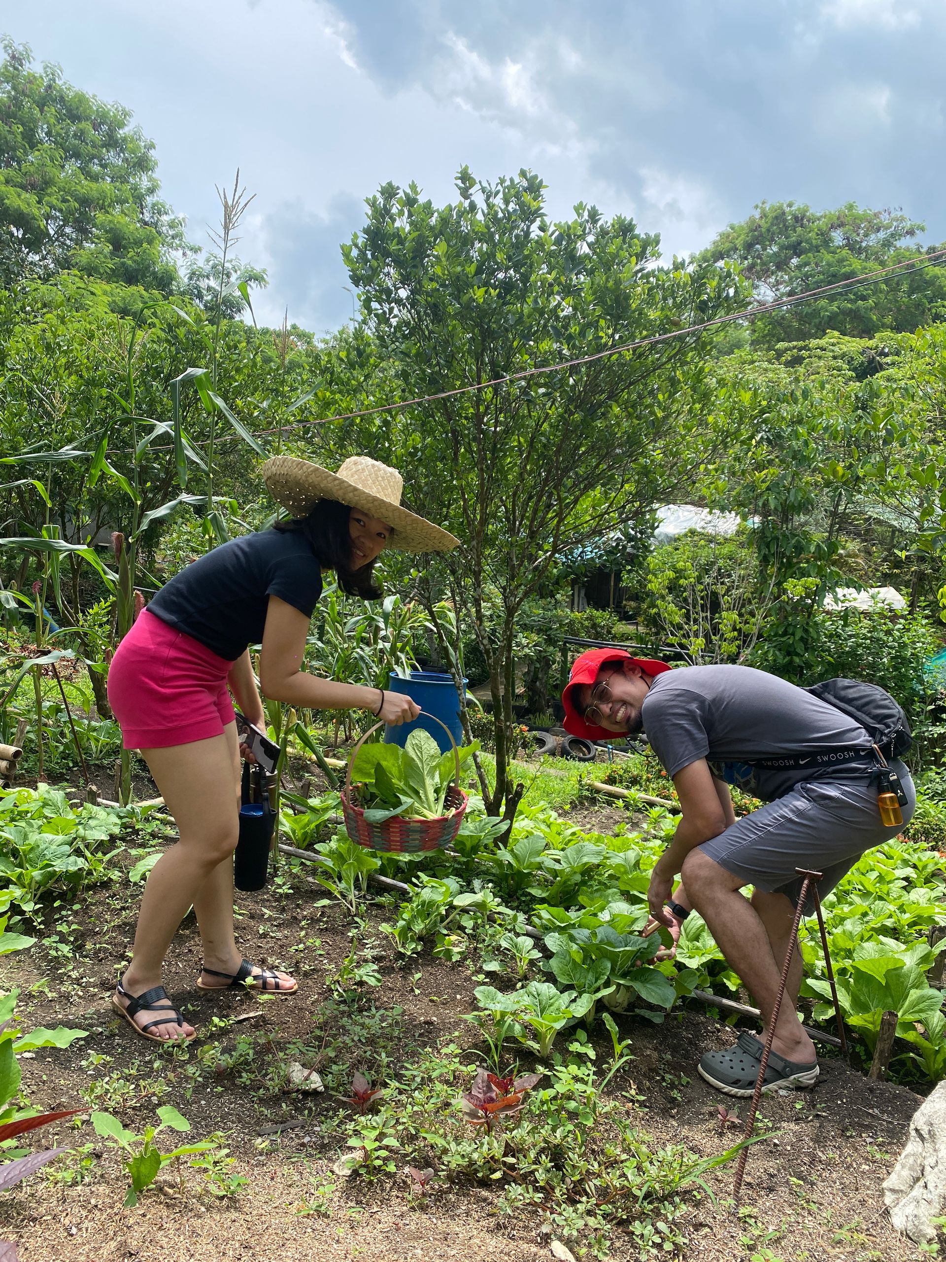 Outdoor Activities at The Apiary Mountain Camp & Farm | Tanay, Rizal