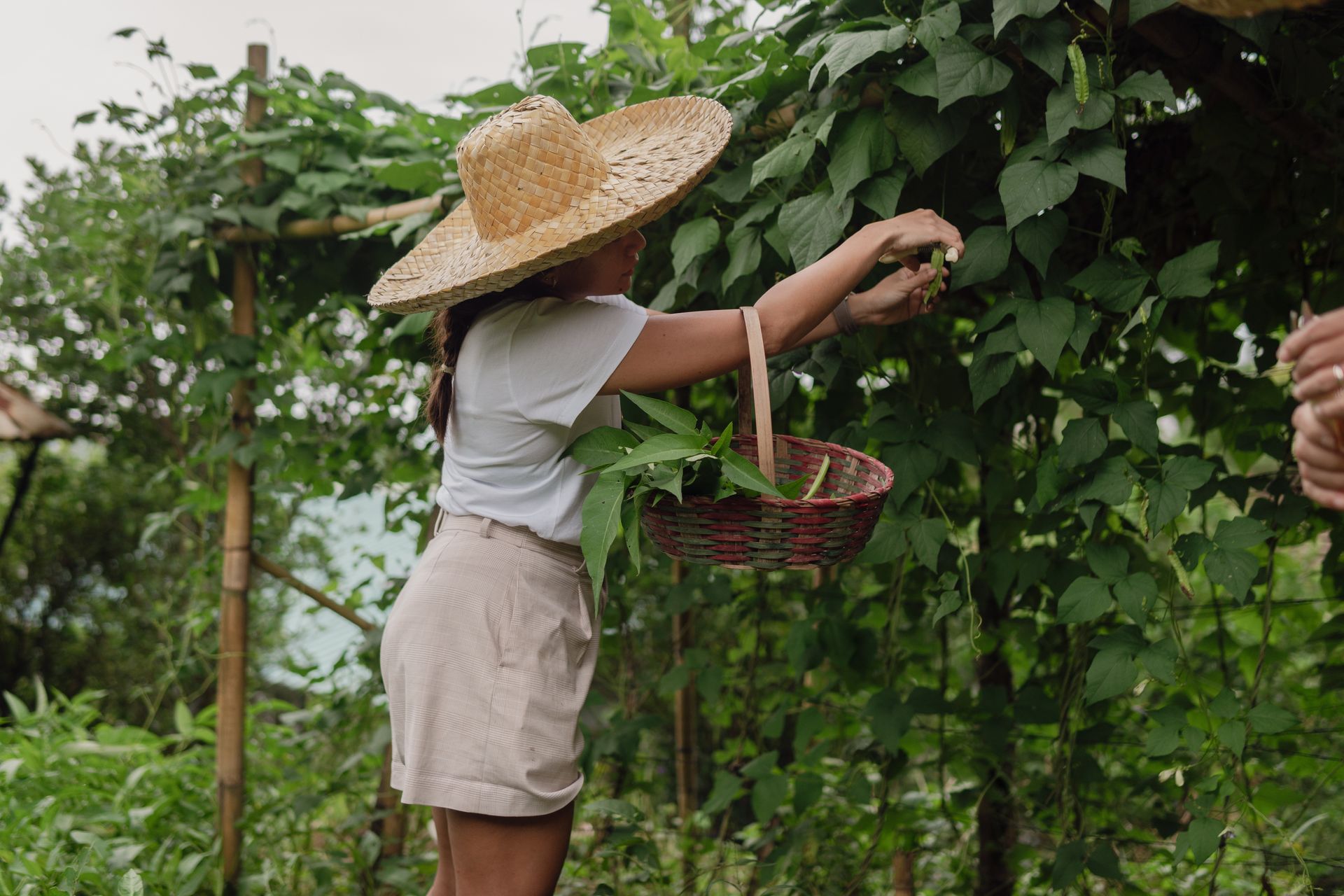Outdoor Activities at The Apiary Mountain Camp & Farm | Tanay, Rizal
