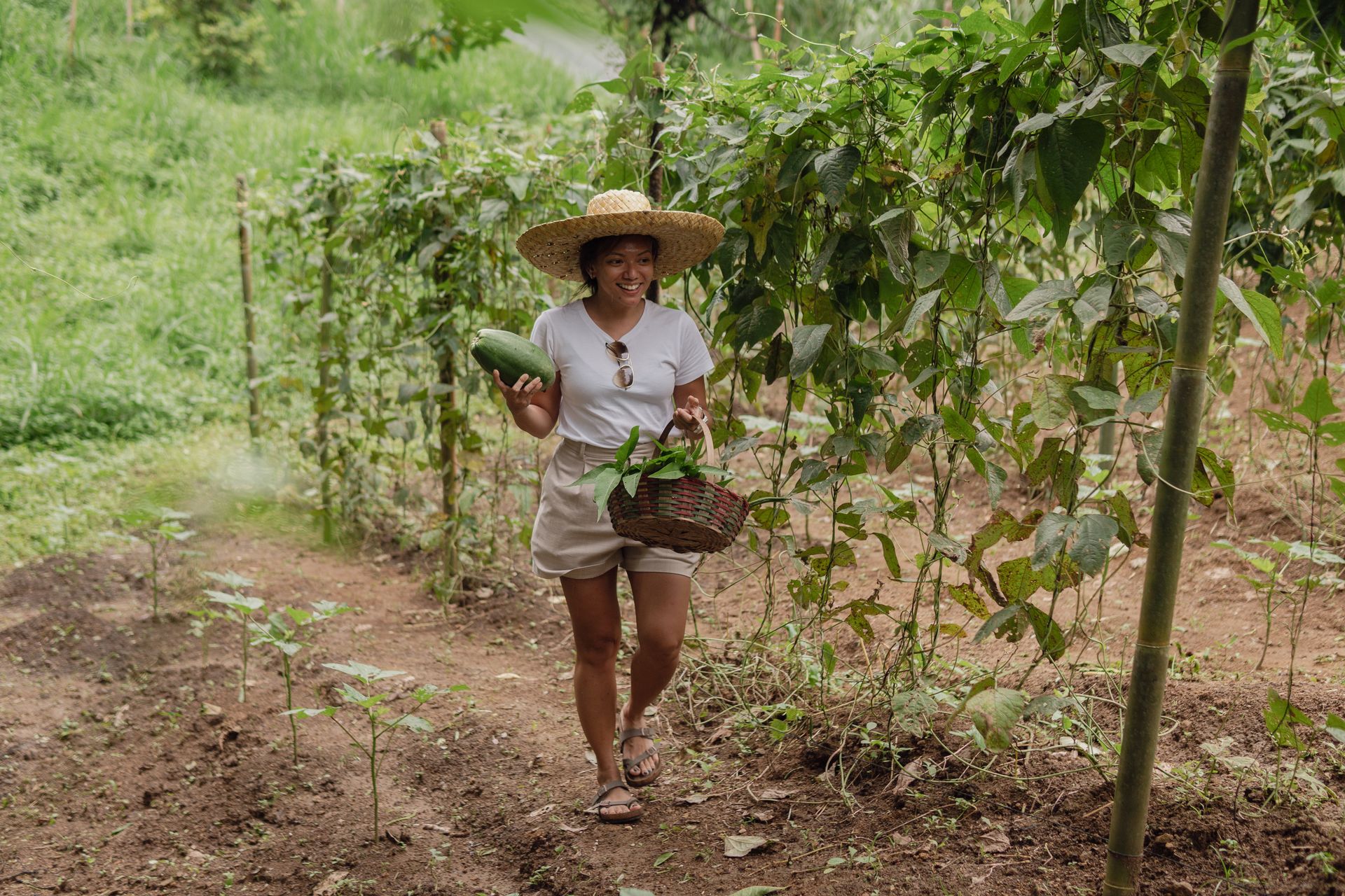 Outdoor Activities at The Apiary Mountain Camp & Farm | Tanay, Rizal