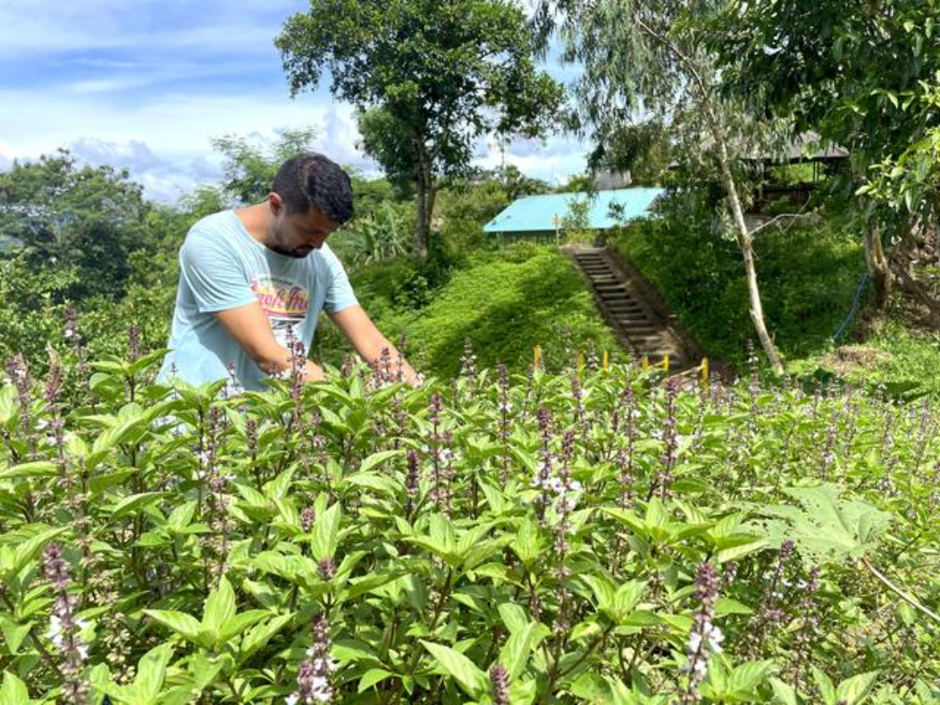 Outdoor Activities at The Apiary Mountain Camp & Farm | Tanay, Rizal