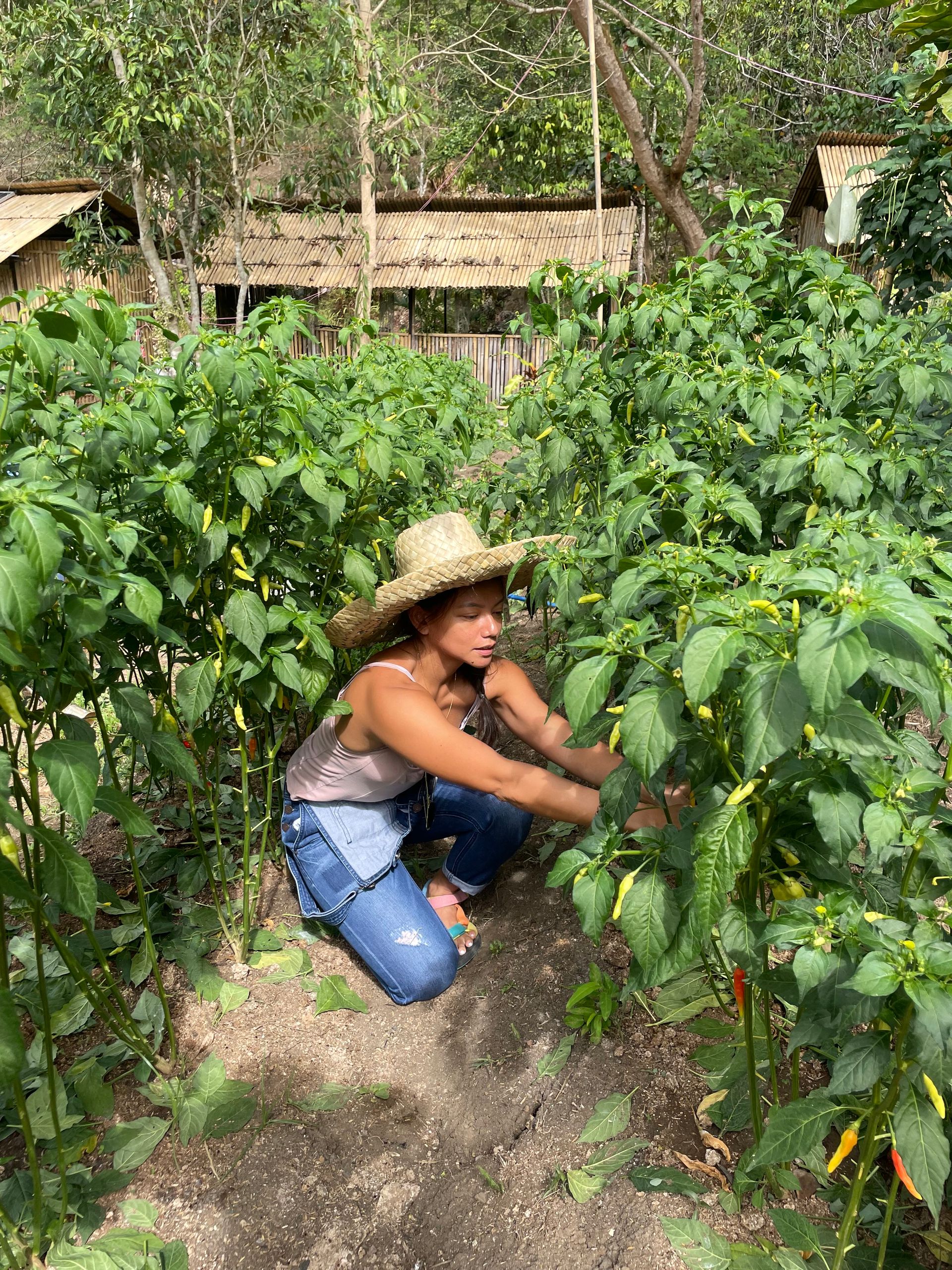 Outdoor Activities at The Apiary Mountain Camp & Farm | Tanay, Rizal