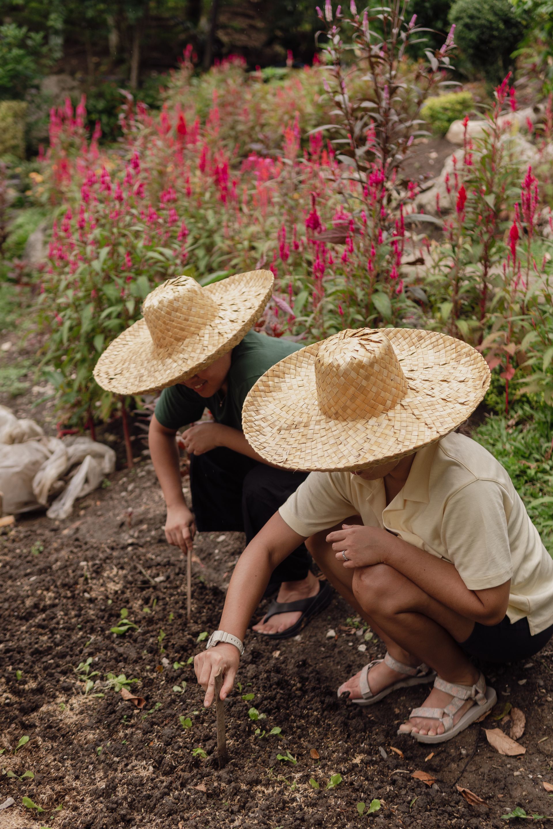 Outdoor Activities at The Apiary Mountain Camp & Farm | Tanay, Rizal