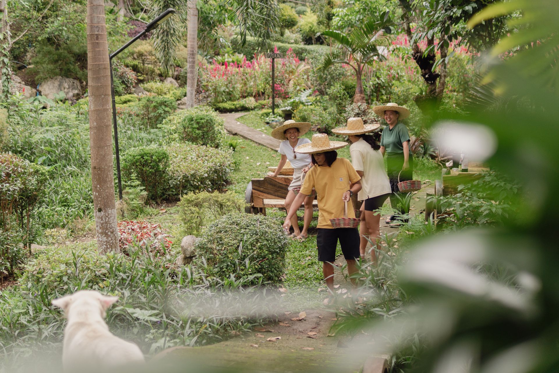 Outdoor Activities at The Apiary Mountain Camp & Farm | Tanay, Rizal