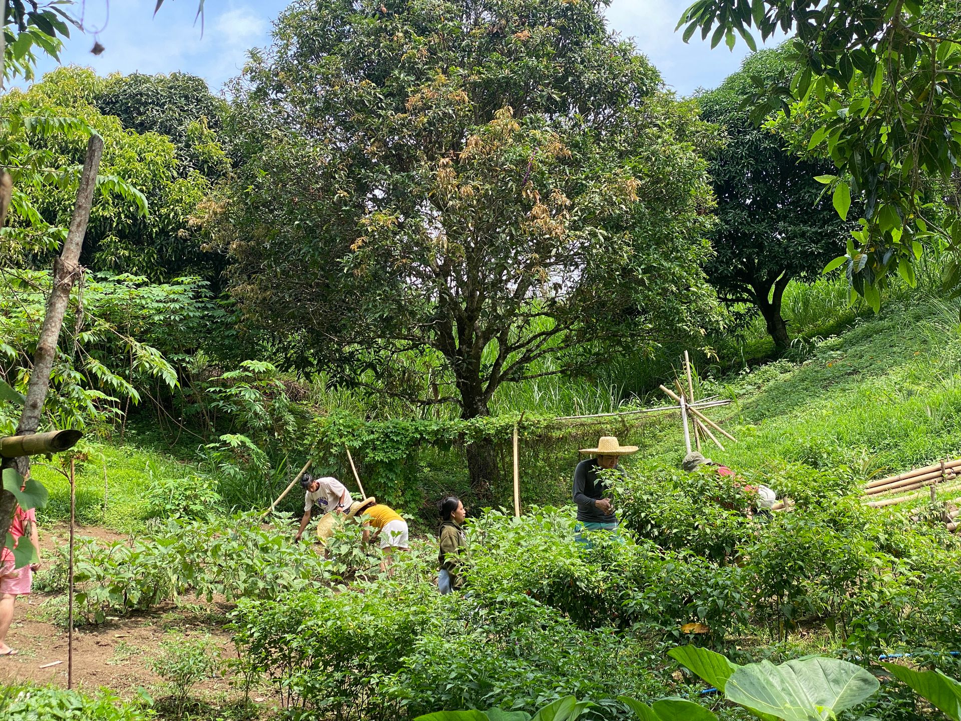Outdoor Activities at The Apiary Mountain Camp & Farm | Tanay, Rizal
