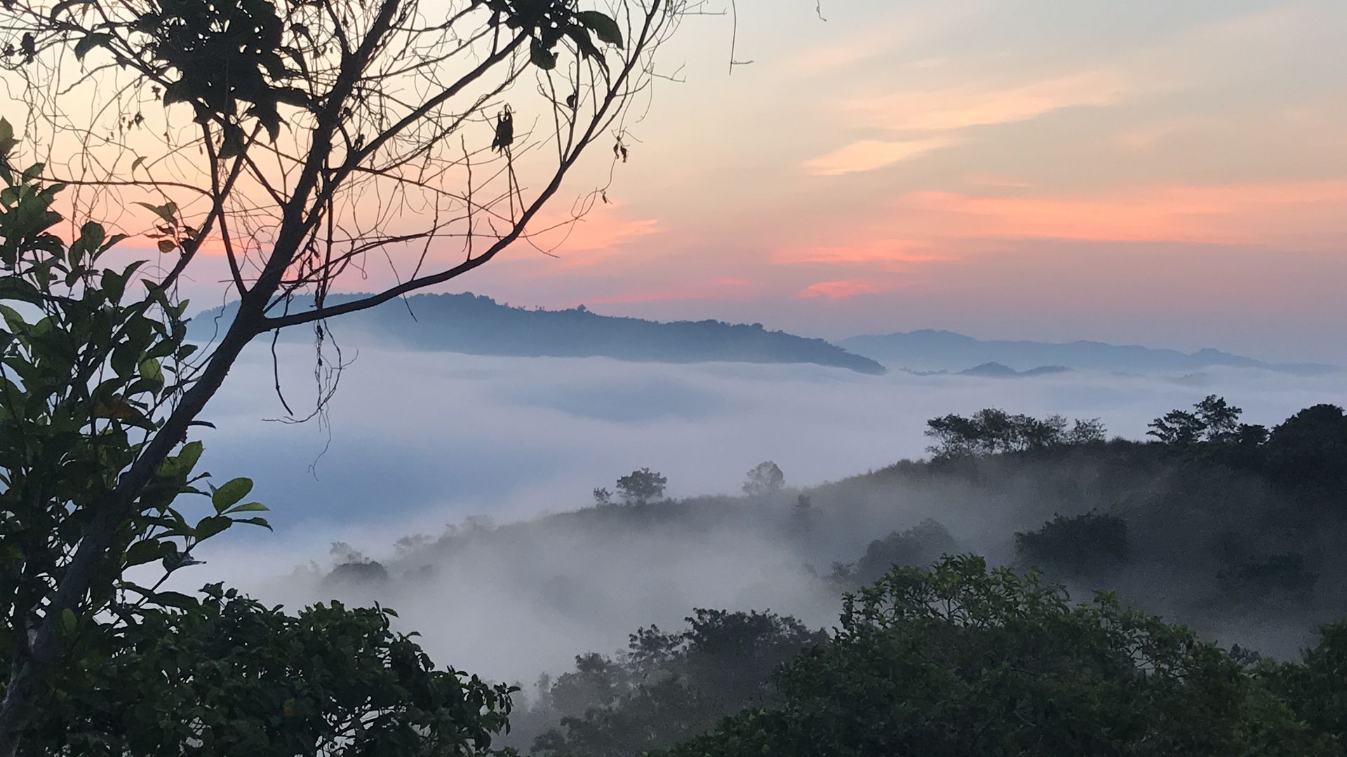 Outdoor Activities at The Apiary Mountain Camp & Farm | Tanay, Rizal