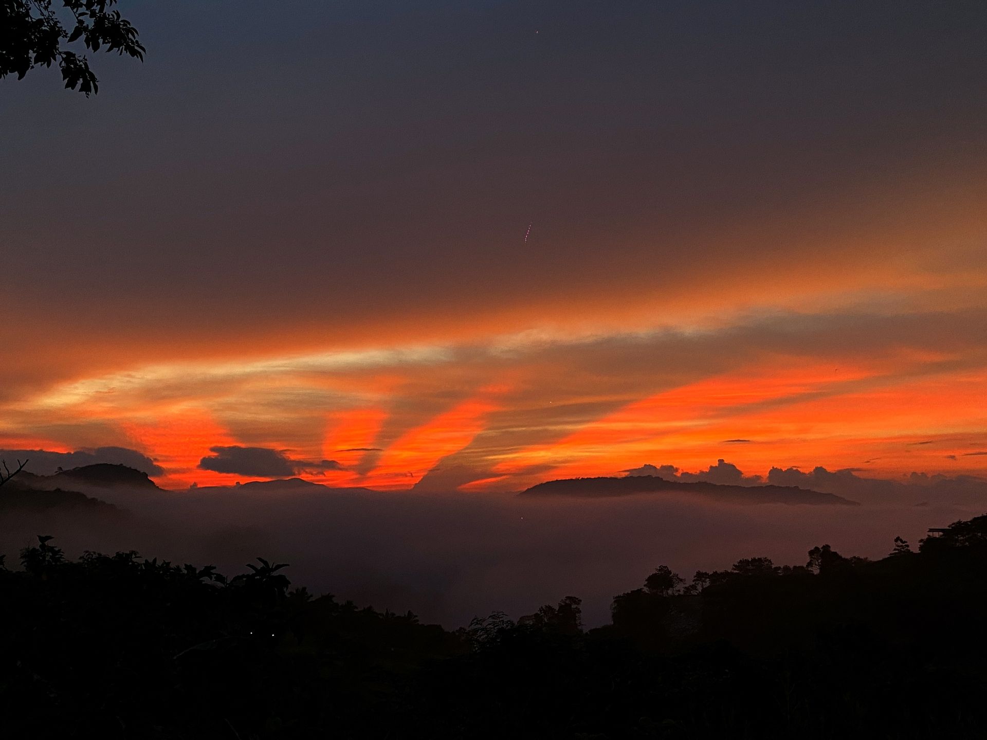 Outdoor Activities at The Apiary Mountain Camp & Farm | Tanay, Rizal
