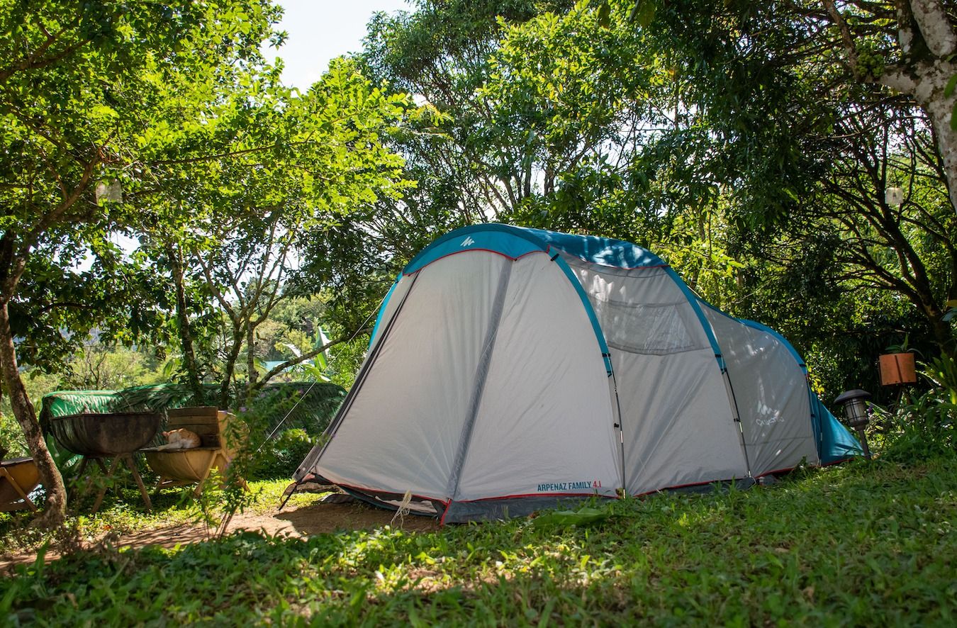 The Apiary Mountain Camp & Farm | Nature Retreat in Tanay, Rizal