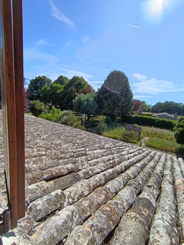 Tettoia con tegole consumate dal tempo, affacciata su alberi verdi e un cielo azzurro brillante.