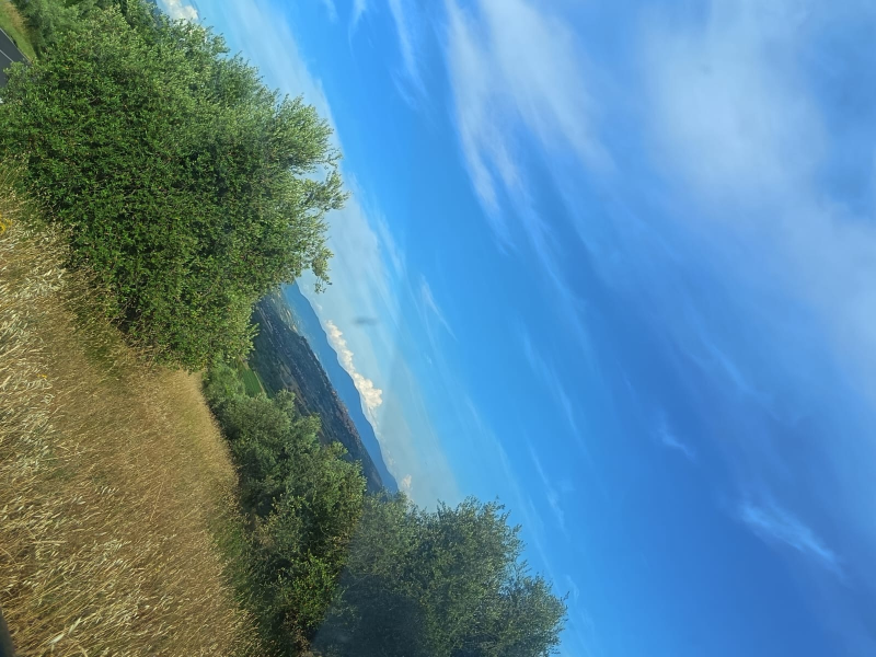 Vista inclinata di una collina erbosa con alberi verdi sotto un cielo azzurro brillante e montagne in lontananza.