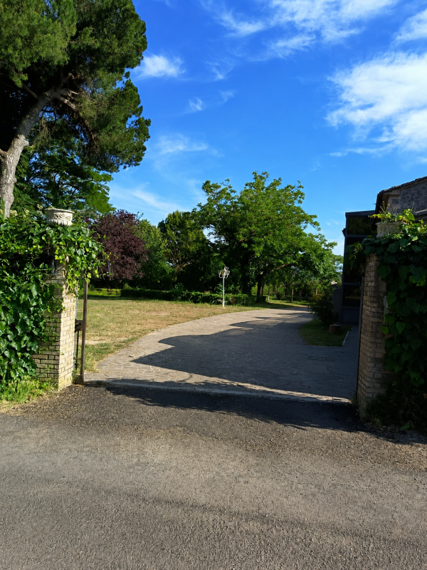 Ingresso carraio soleggiato con pilastri in pietra, alberi verdi e rigogliosi e cielo azzurro.